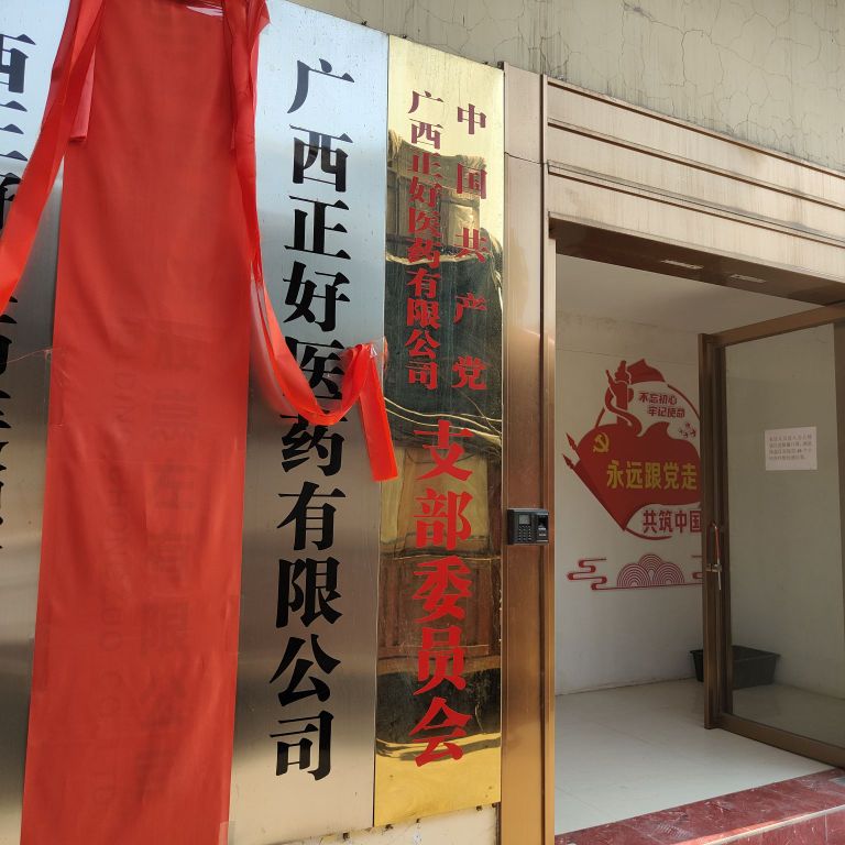 正好医药公司