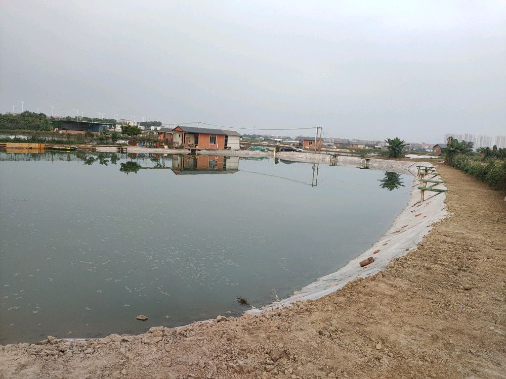 贰陆八垂钓服务部