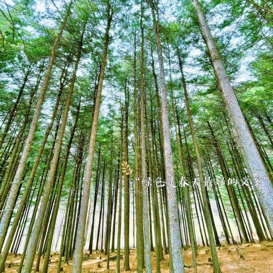 巡山客营地度假基地