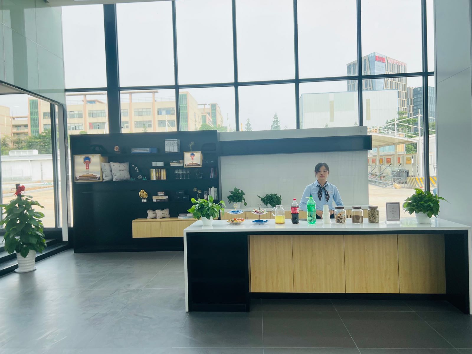 比亚迪汽车王朝网(深圳乾元新景4S店)