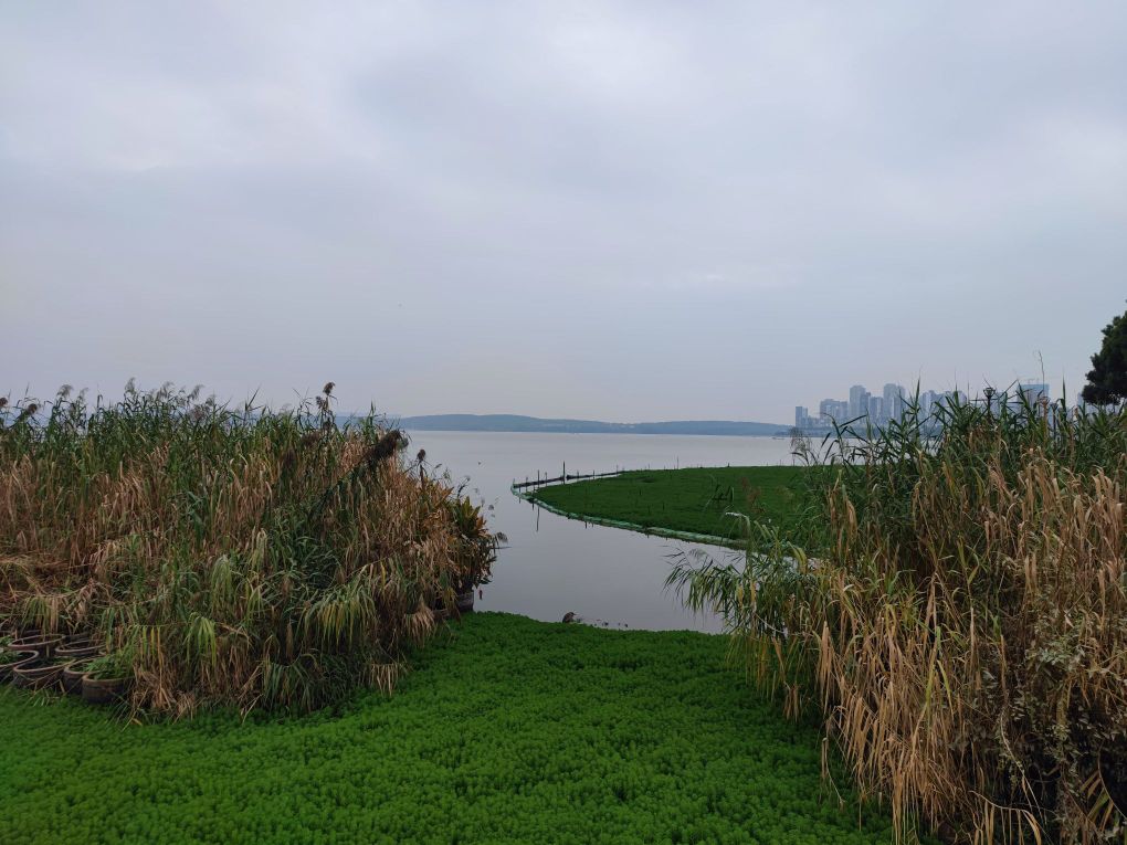南湖花屿公园