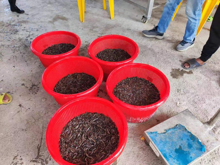 中山市黄圃镇云羽鱼苗批发部