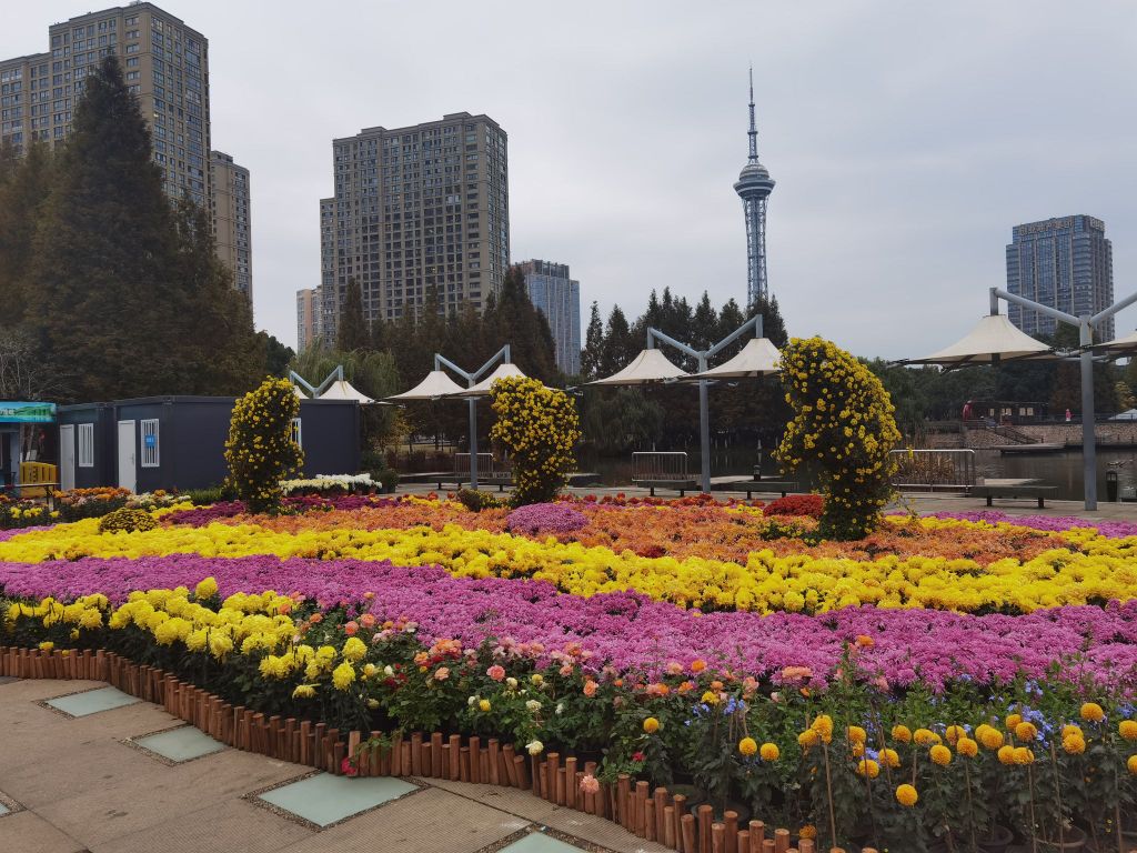 狼旗篮球太适能馆(湖塘校区)