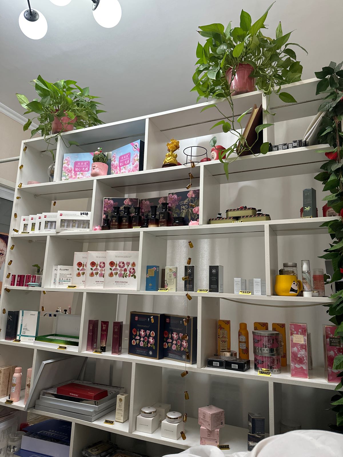 Encounter玫瑰皮肤管理中心(摩根点)