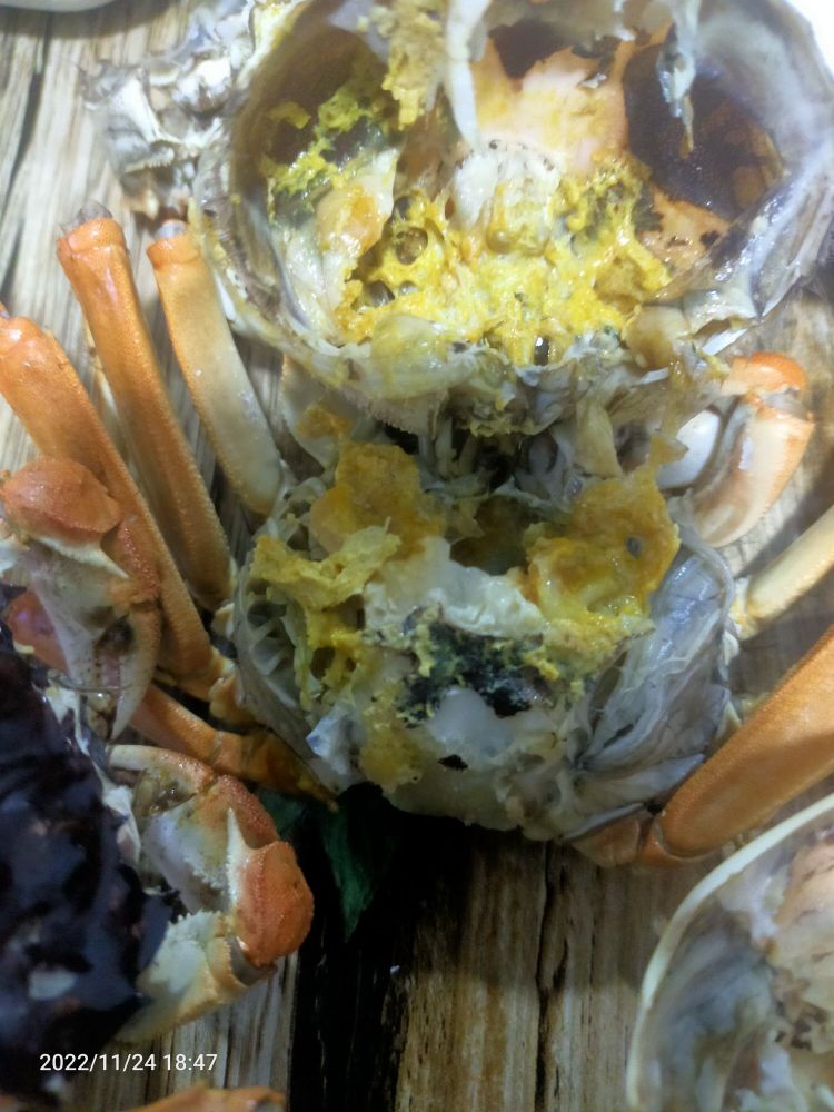 海纳百鲜海鲜店