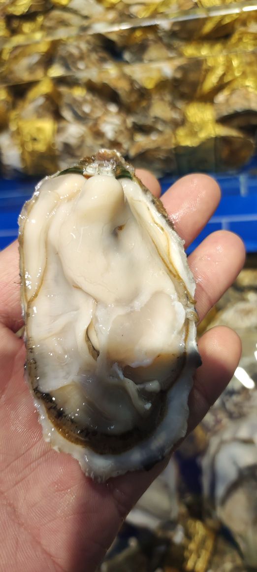 胶东海鲜超市