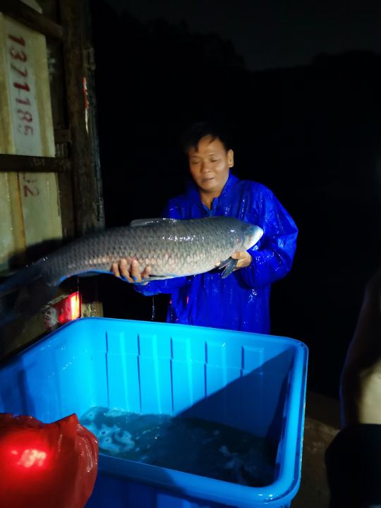 杨屋村开心钓鱼场
