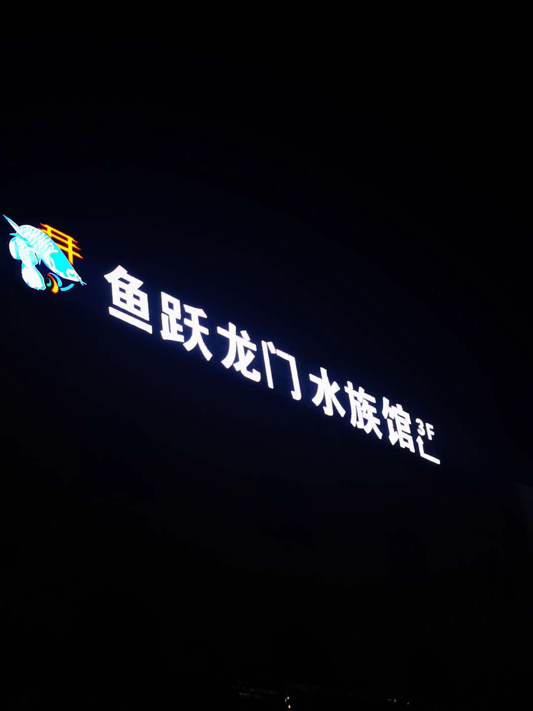 鱼跃龙门水族馆(红星花苑店)