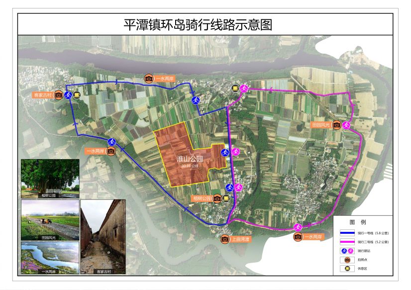 新圩村淮山农业公园