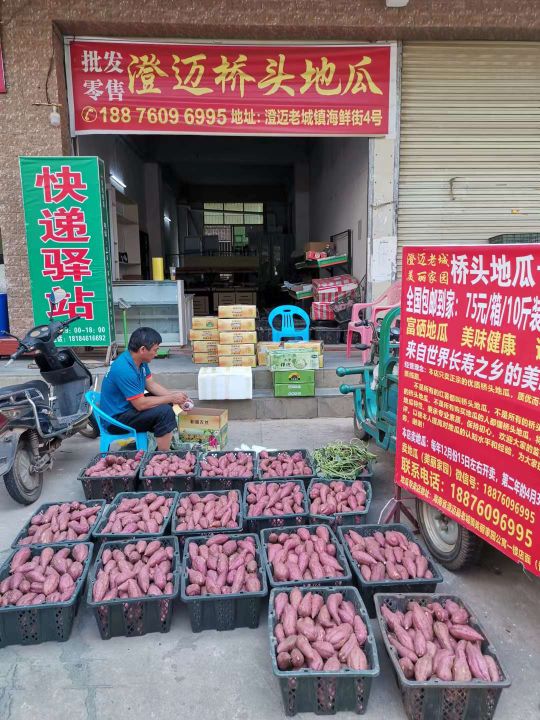澄迈桥头地瓜专卖店