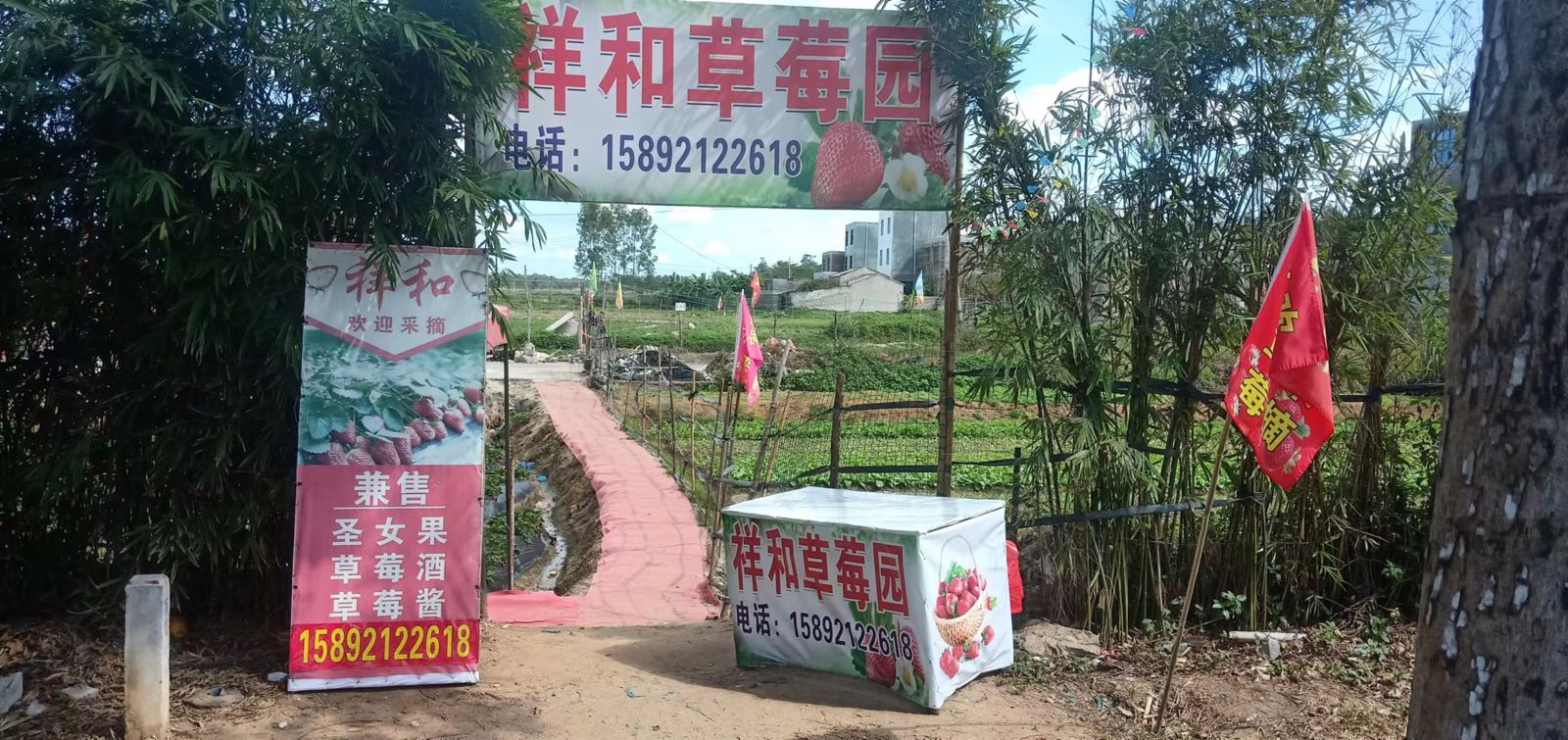 祥和草莓园