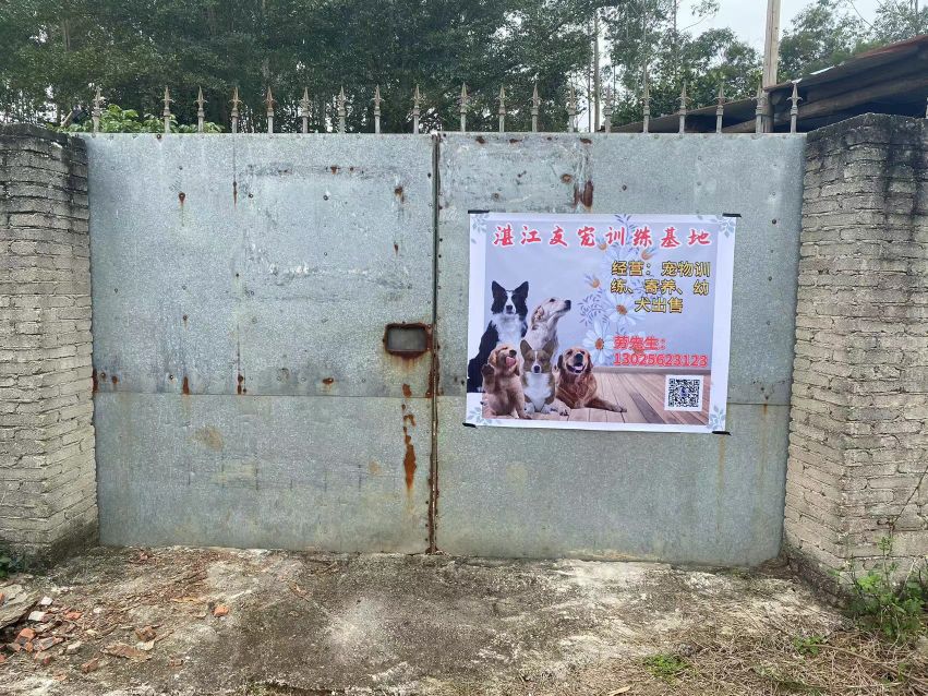 湛江友宠训练基地