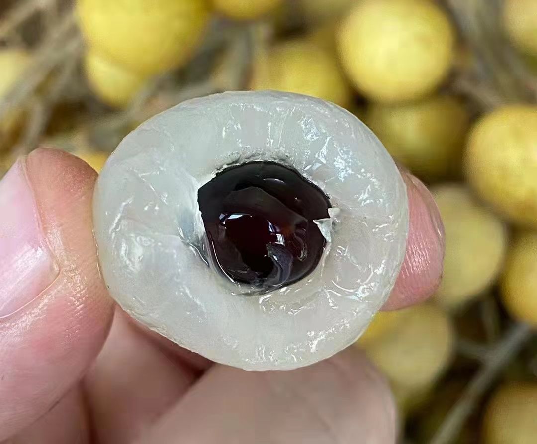 小鲁水果(海顿公馆店)