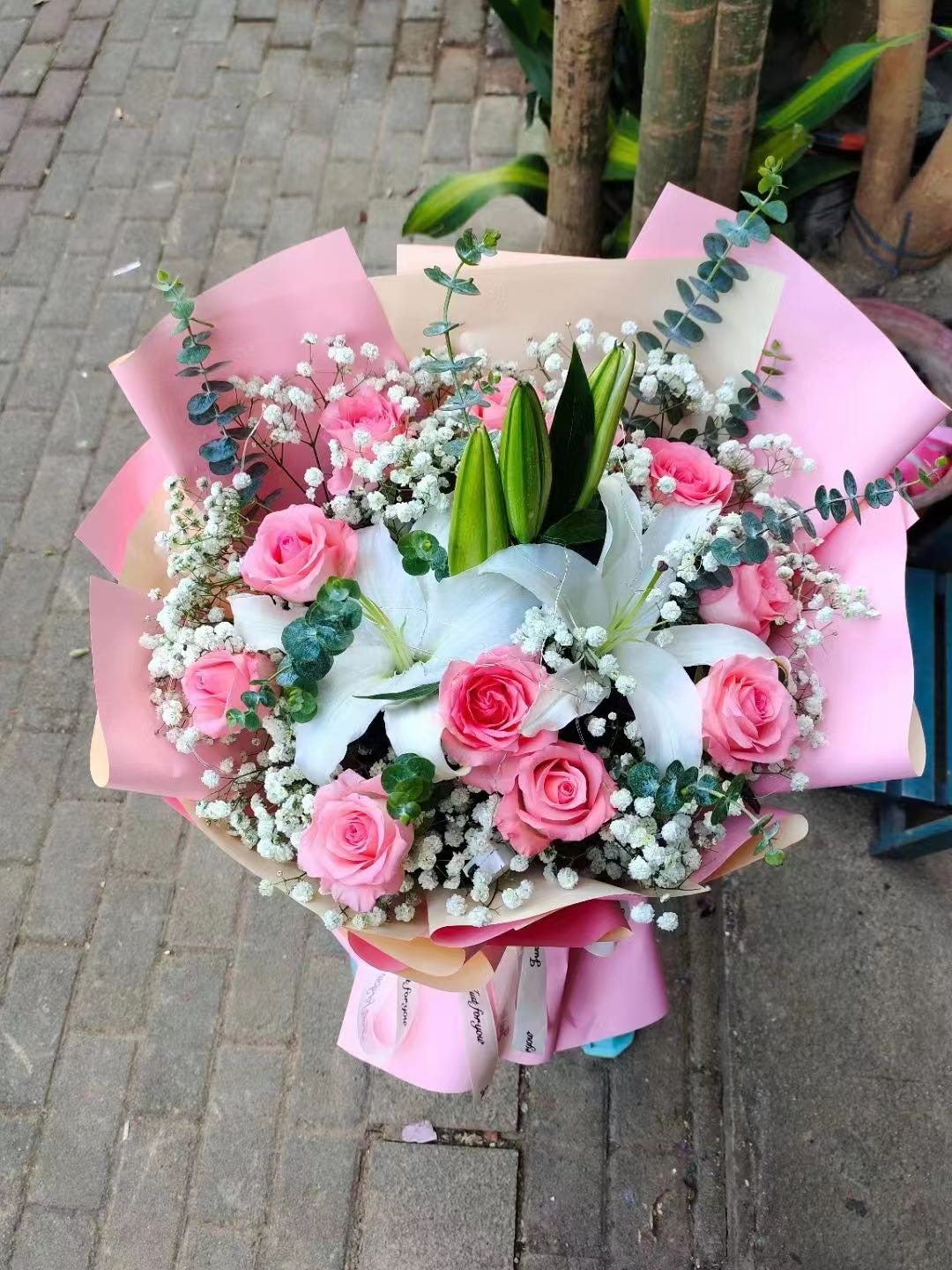 蝴蝶兰花店