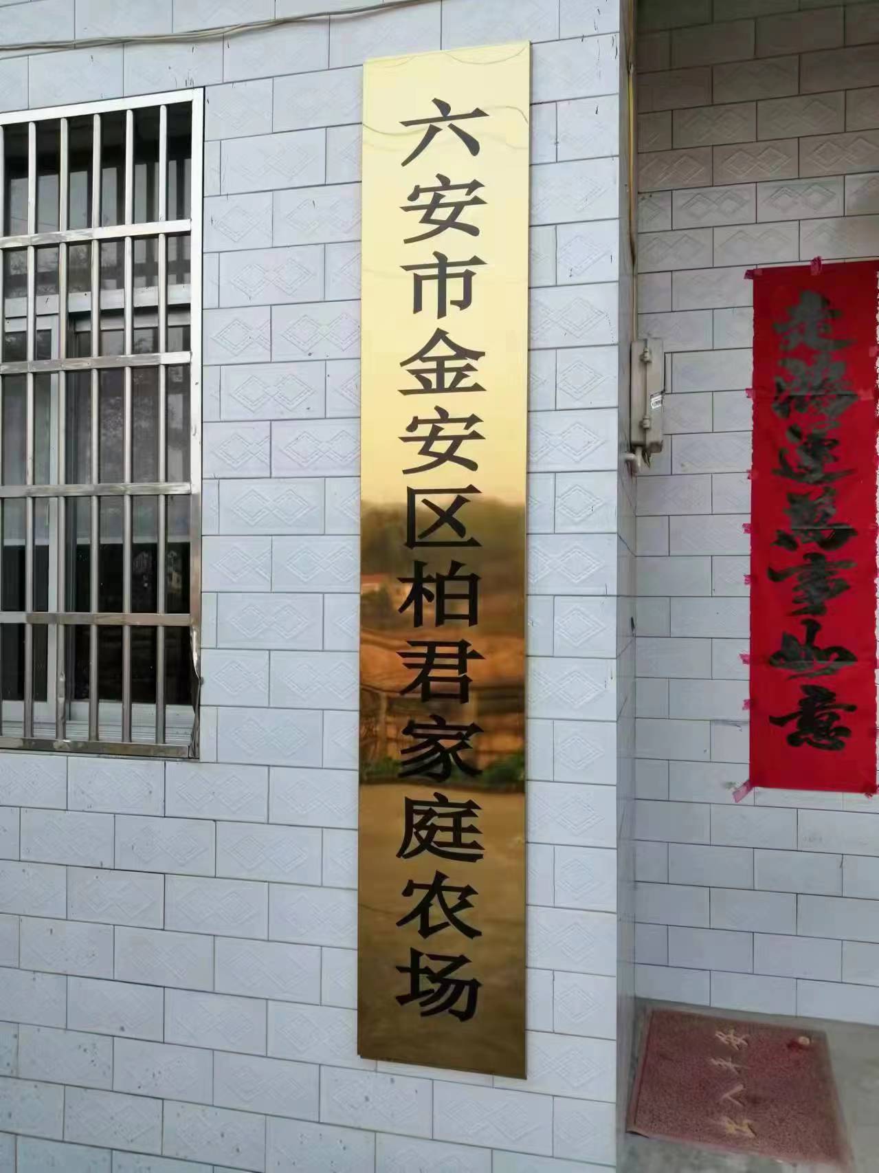 六安市金安区柏君家庭农场