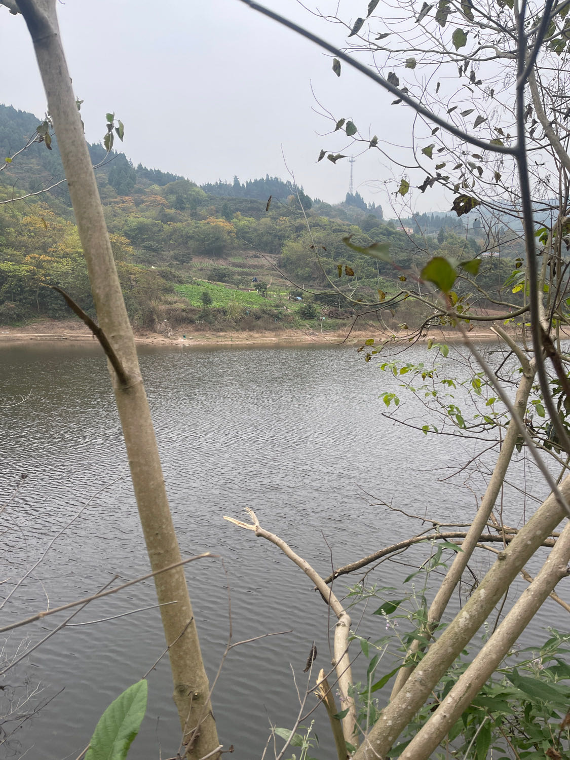 猫猫沟水库