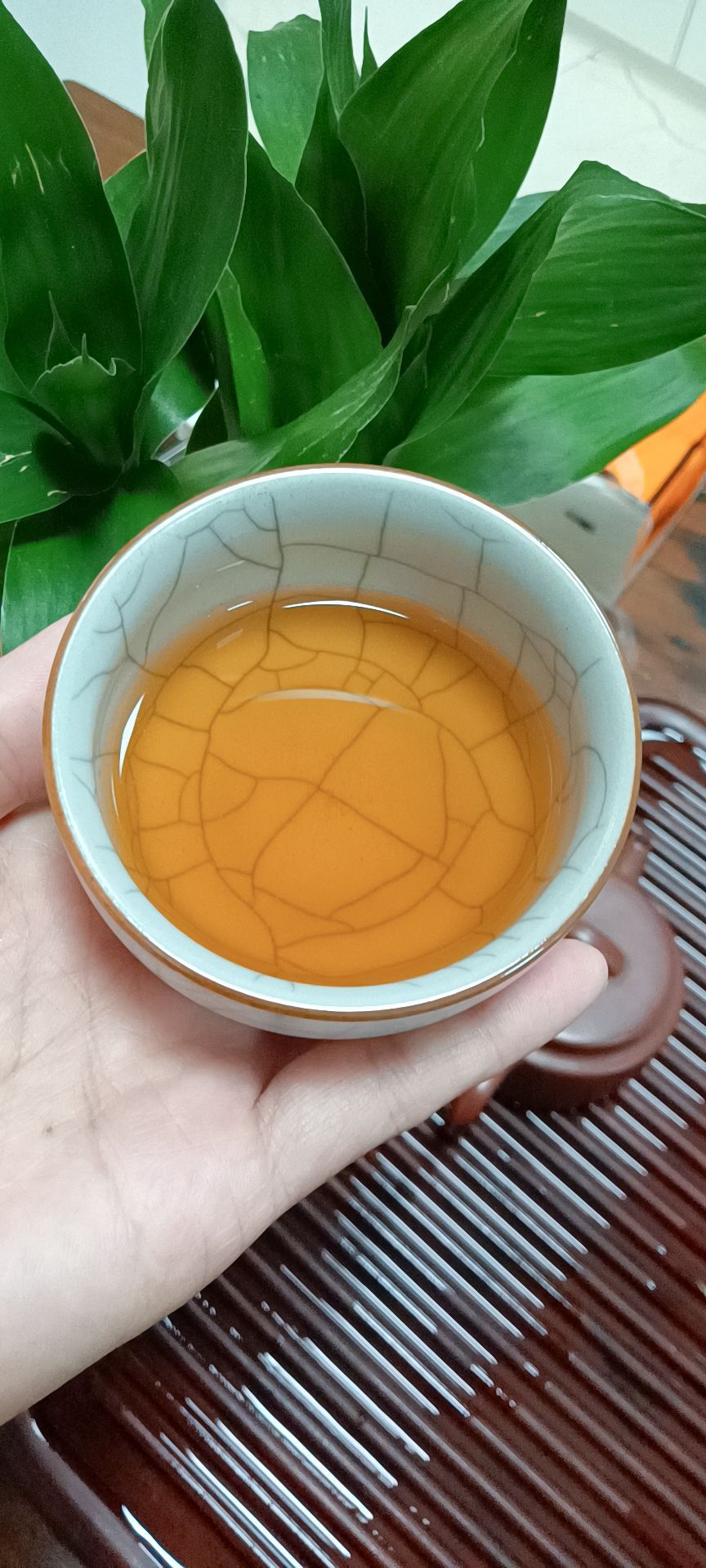 椰仙五指山红茶馆(椰林南大道店)