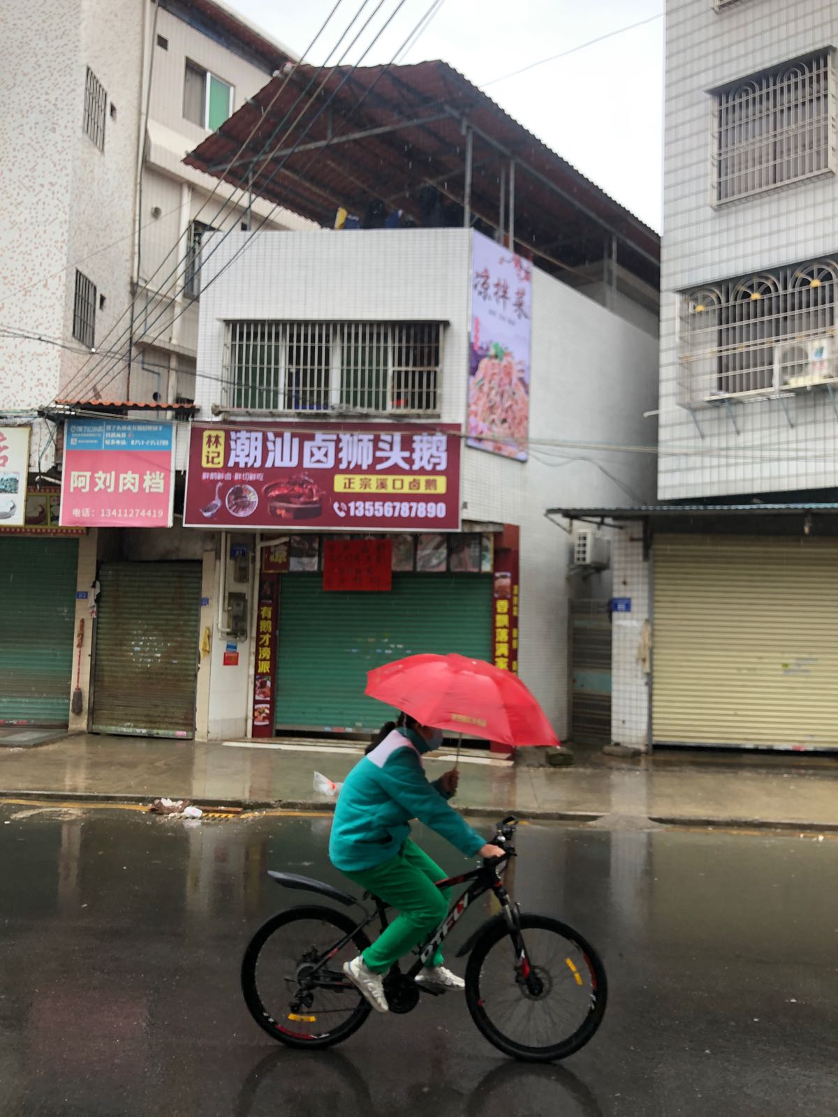 鹅林传汕所头记潮狮卤