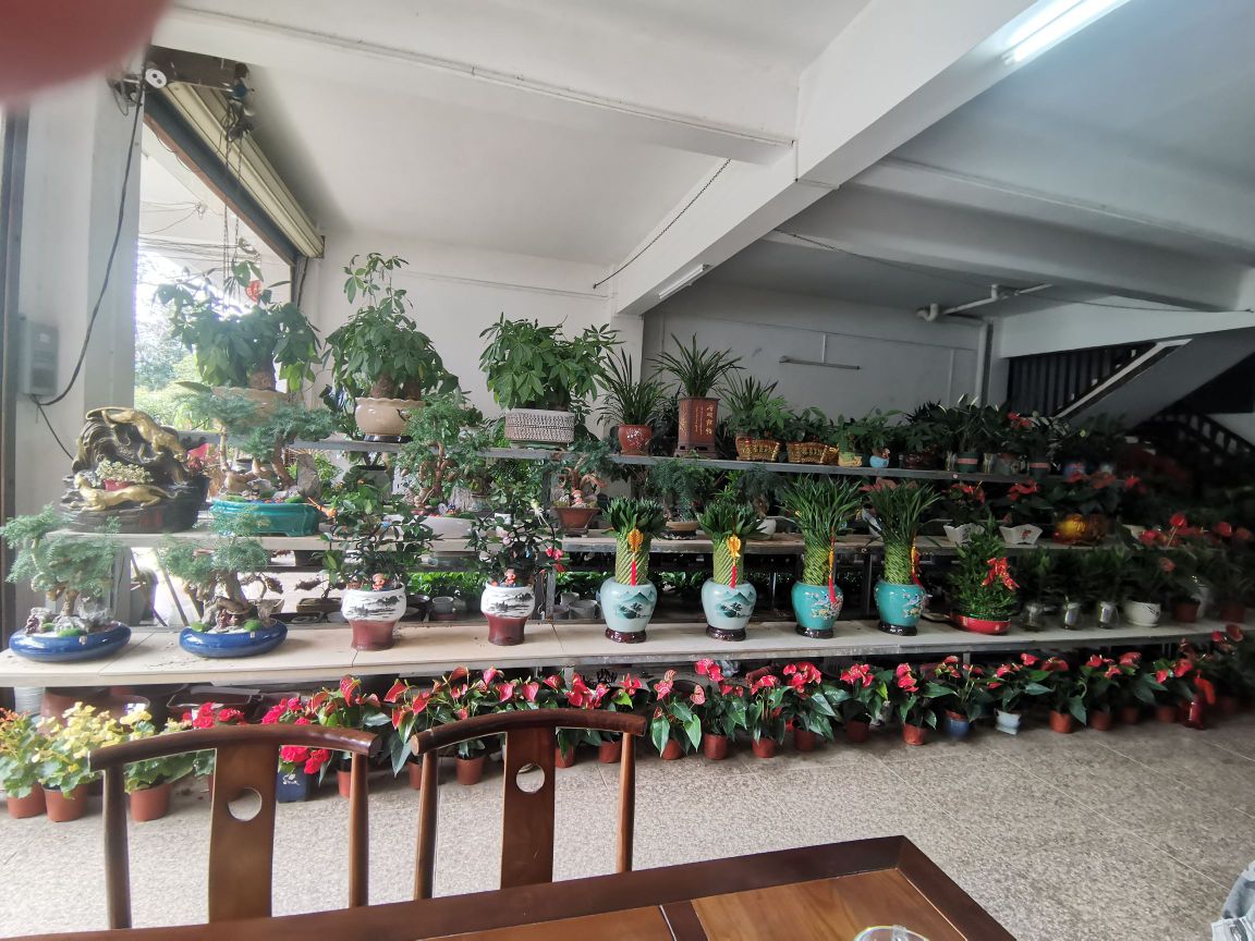 陵水引光园林园艺