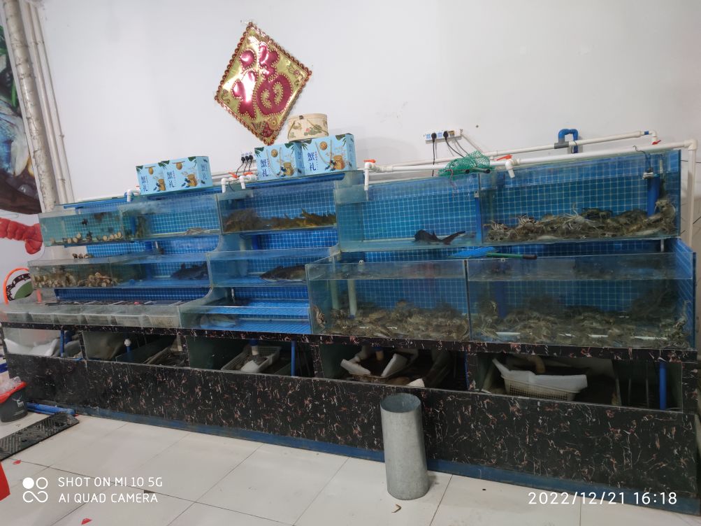 平价海鲜