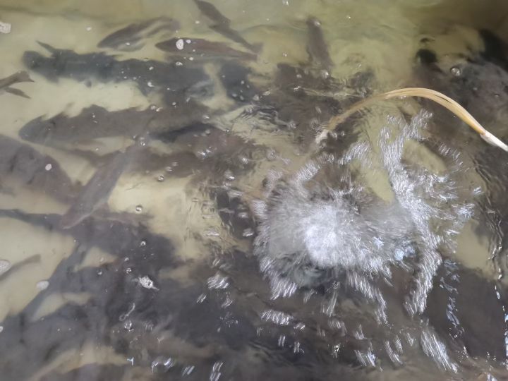 康县鲜汇水族馆