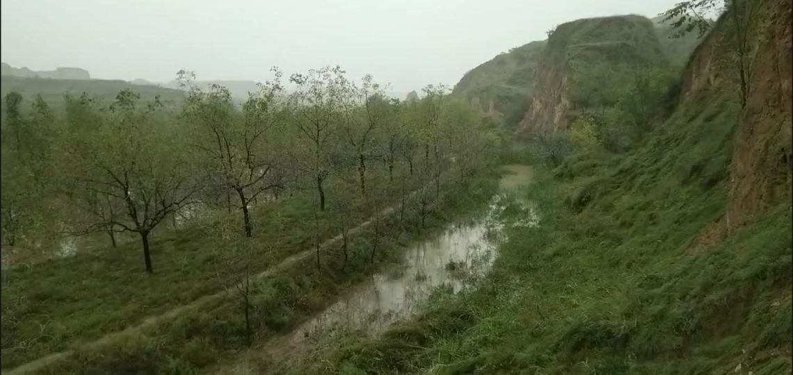 北里枣园渔乐