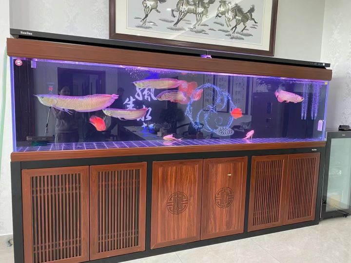 森森四族(植物园路店)