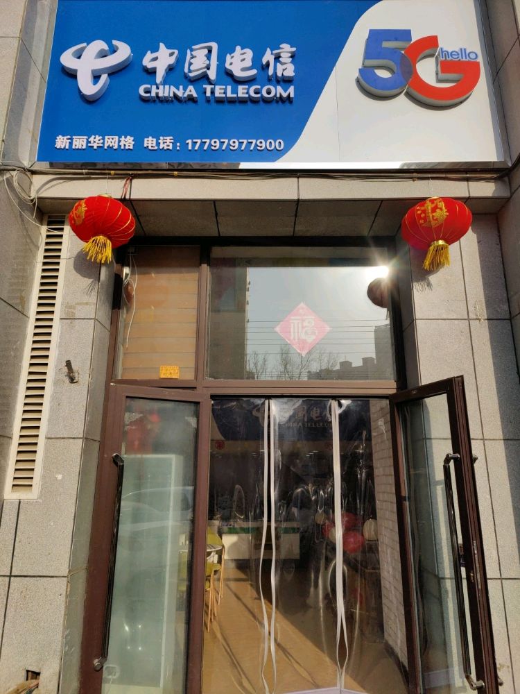 中国电信(新丽华网格)