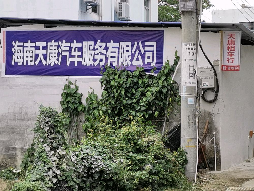 海南天康汽车服务有限公司