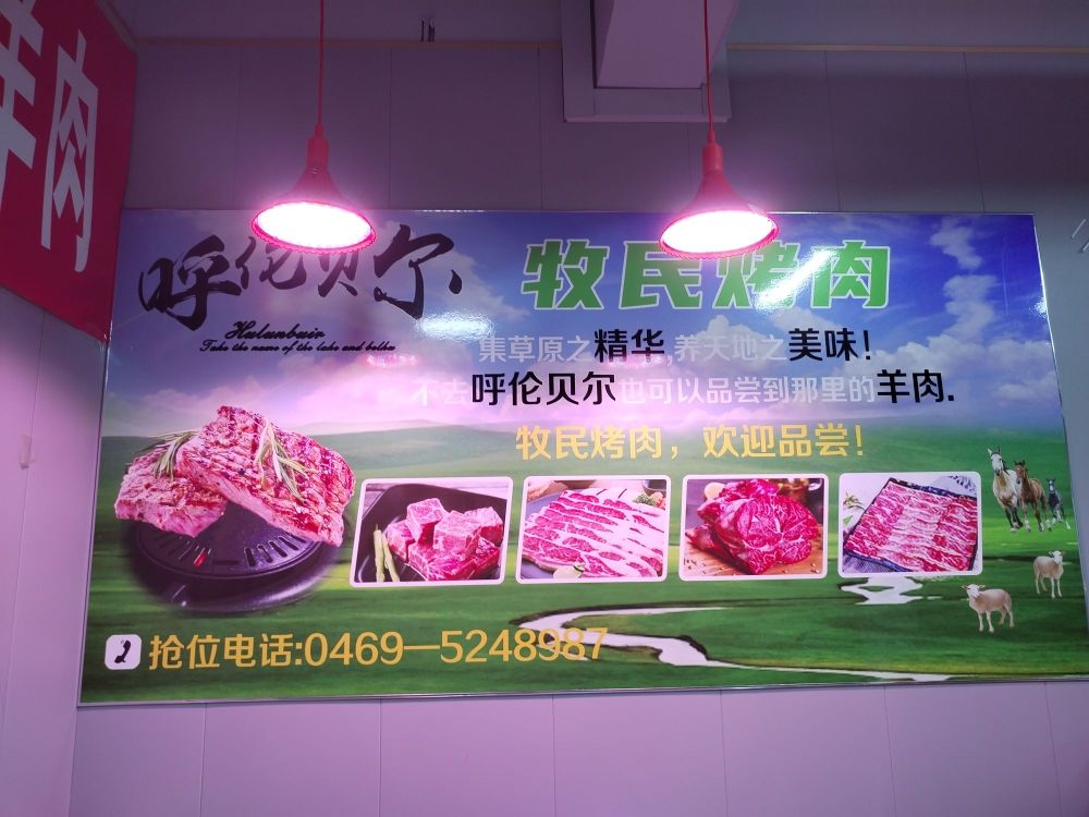牧民靠肉