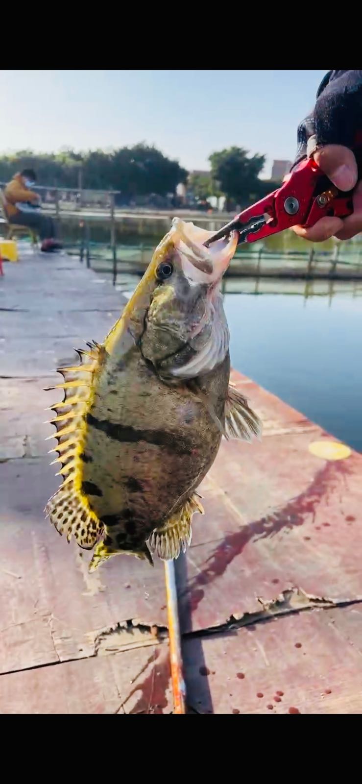 萤火虫路亚休闲垂钓园