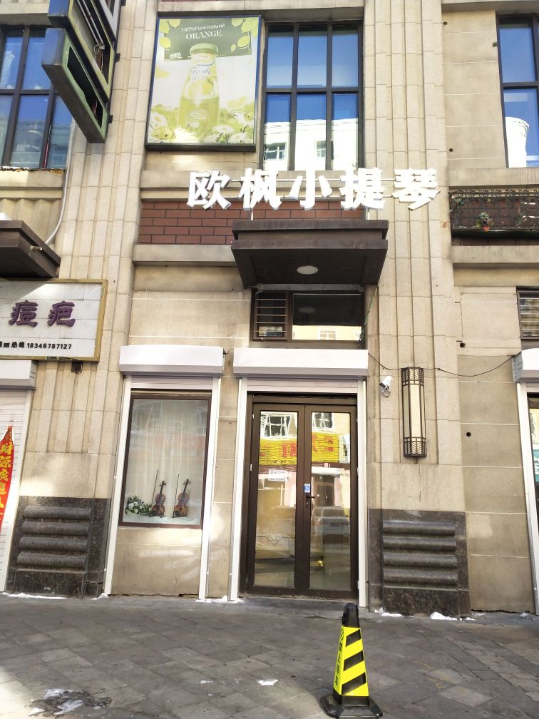 欧枫小提琴(万达广场中心大街店)