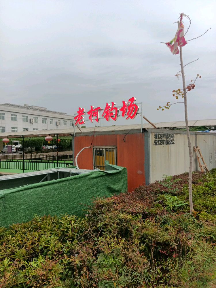 老柯钓场
