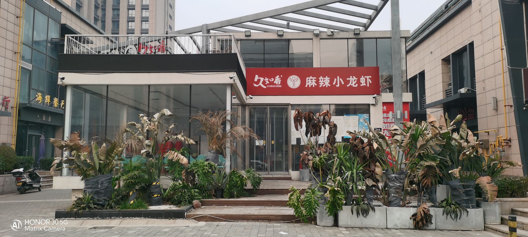野狗商店(瑞光店)