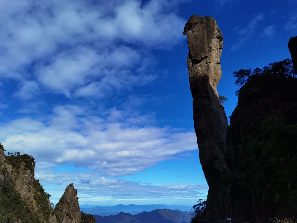 巨蟒观境平台