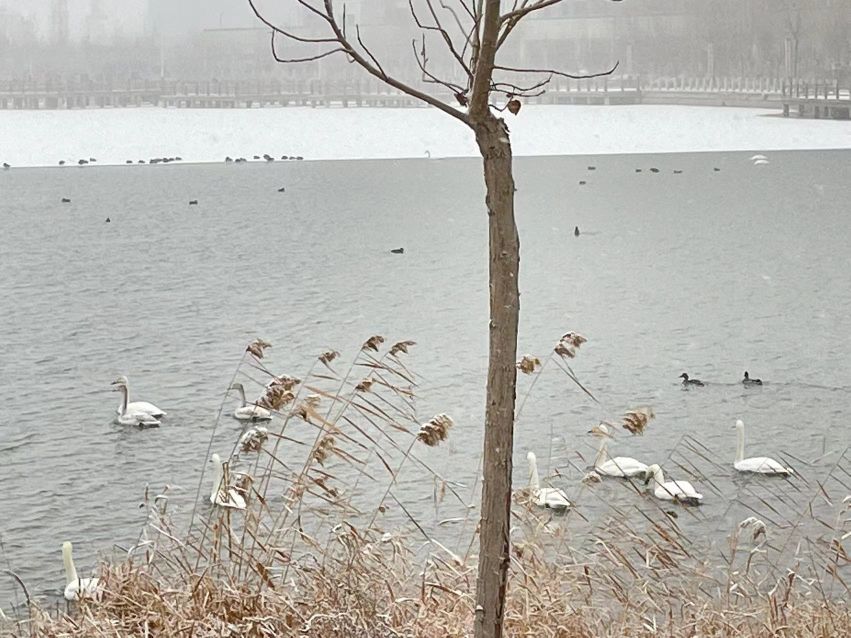 龙泉湖广场