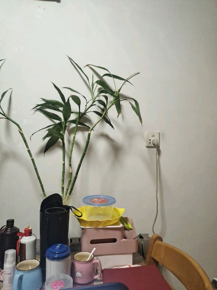 东营恩博报废机动车回收拆解有限公司