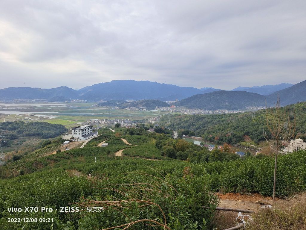 乐清市芙蓉茶叶专业合作(绿芙茶厂)