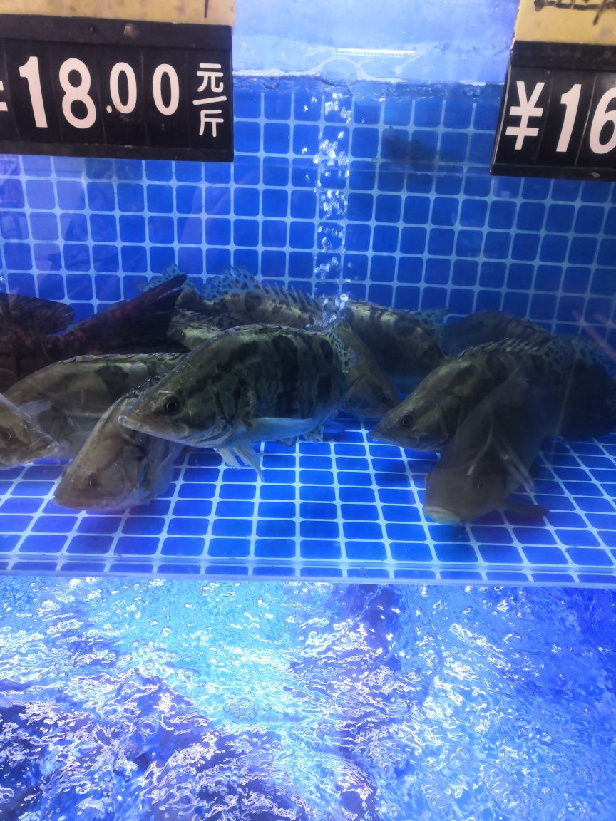 王多渔水产海鲜批发
