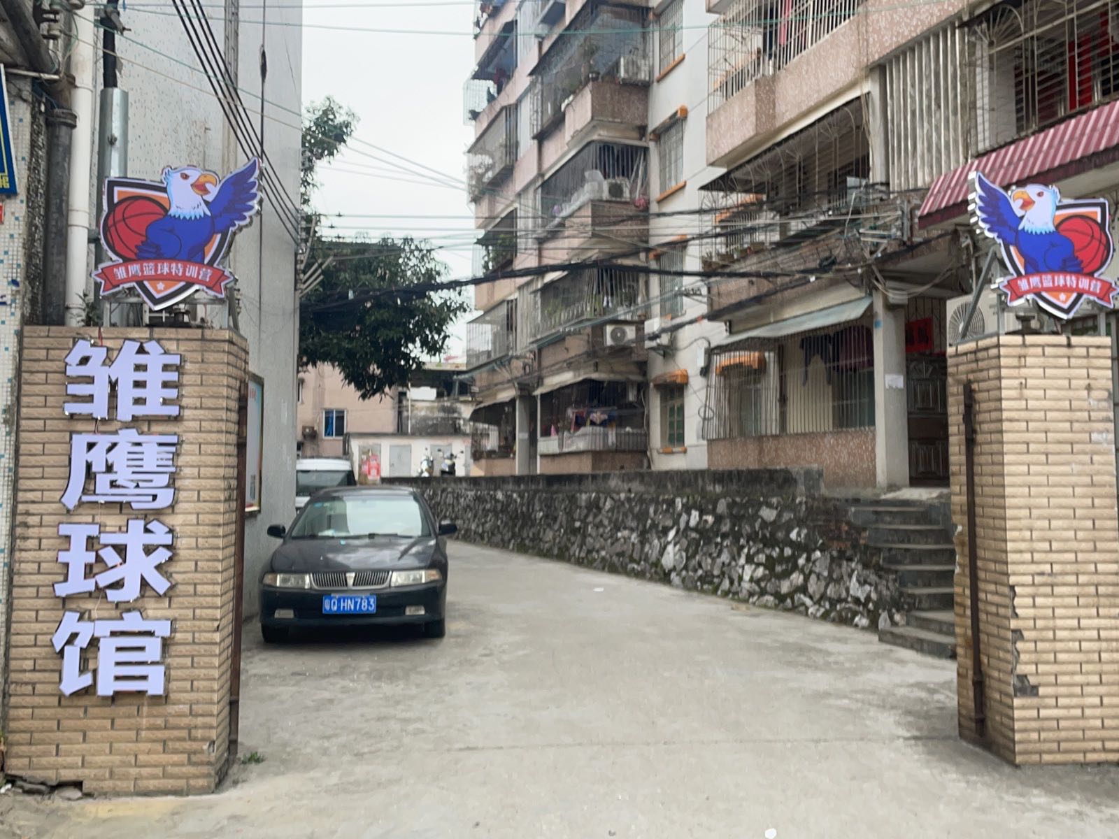 雏鹰球馆