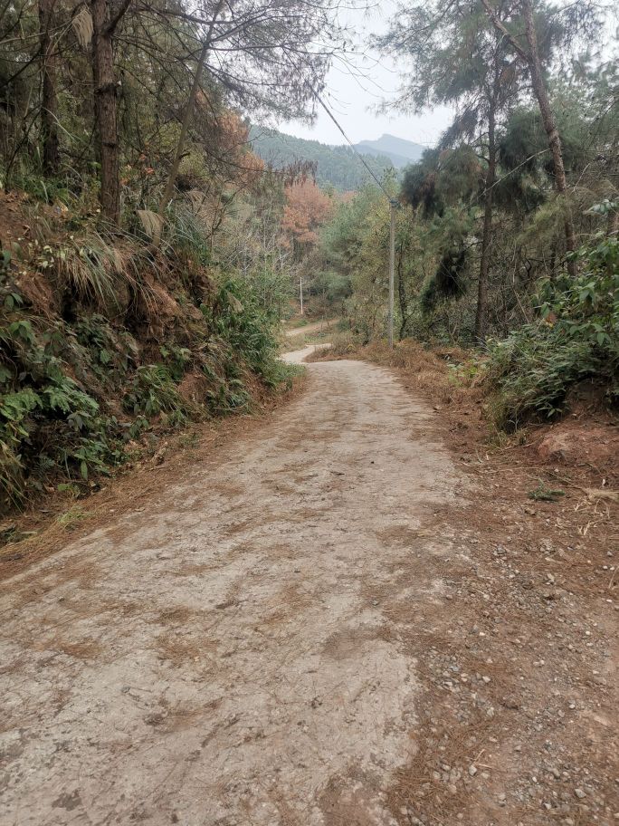 龙鹄山松柏之铭碑及摩牙造像