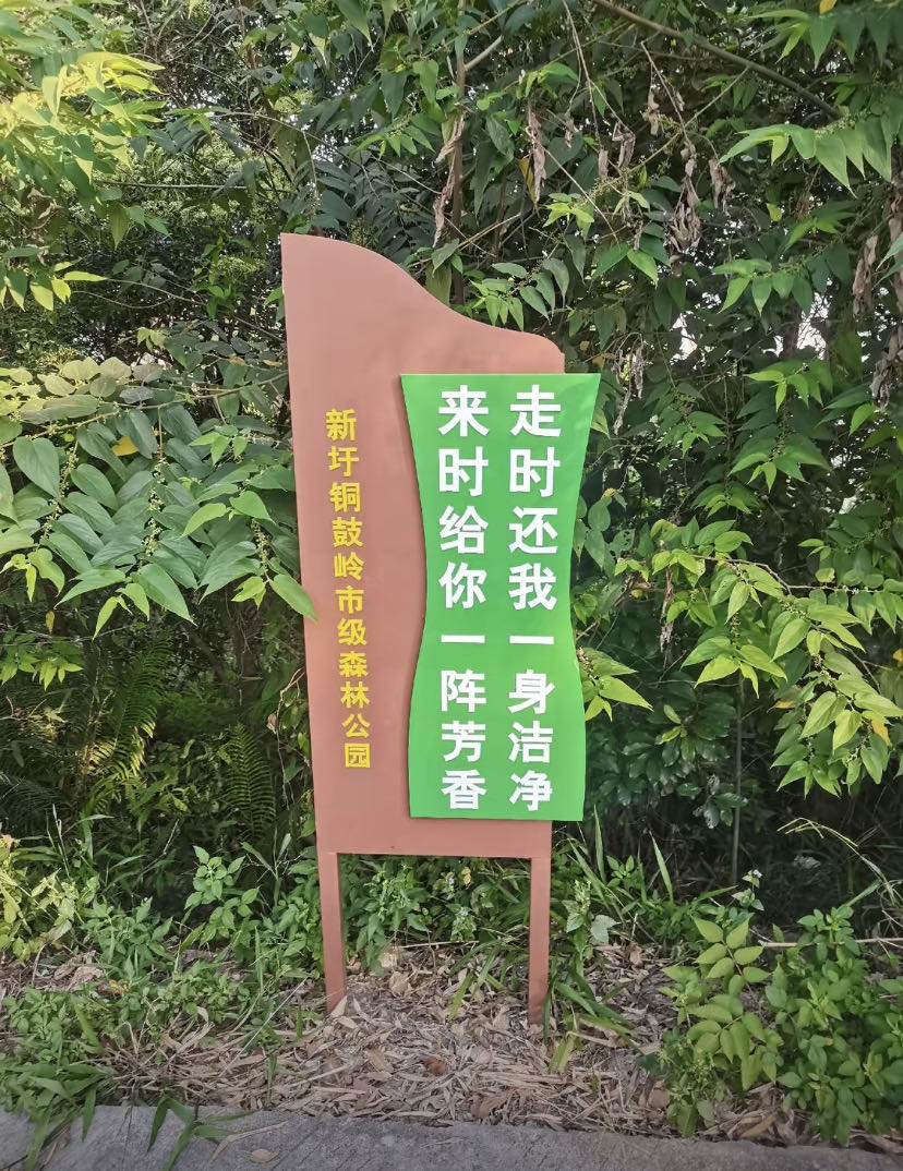 铜鼓岭市级森林公园