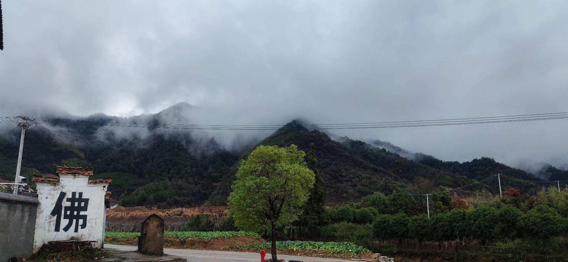 福田寺