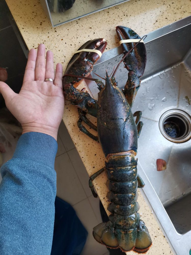 海直接海鲜