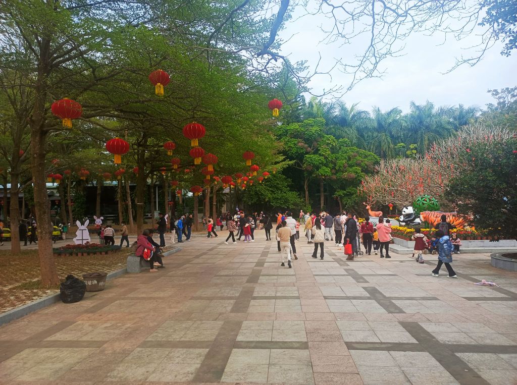 广东茂名森林公园-游乐广场