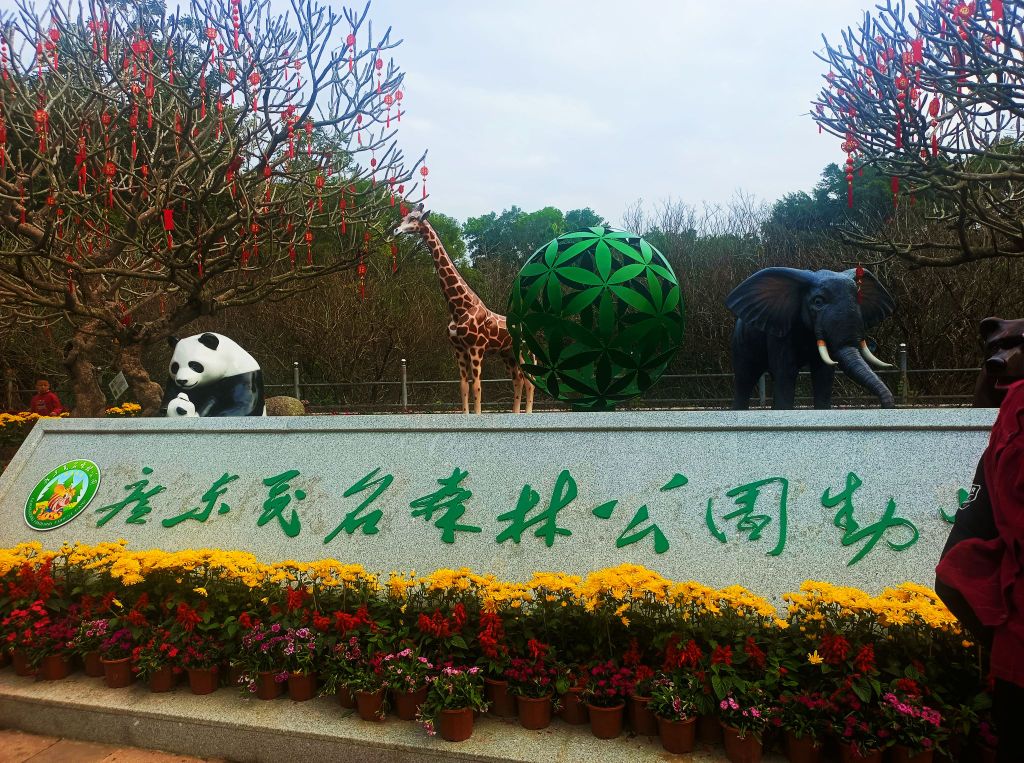 广东茂名森林公园-游乐广场