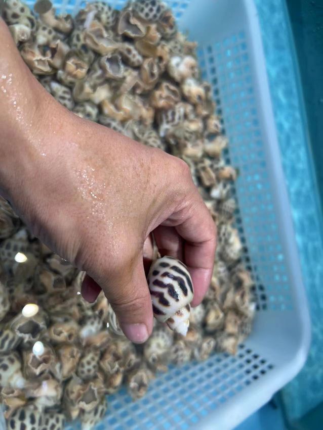 高螺渔村饭店(X129店)