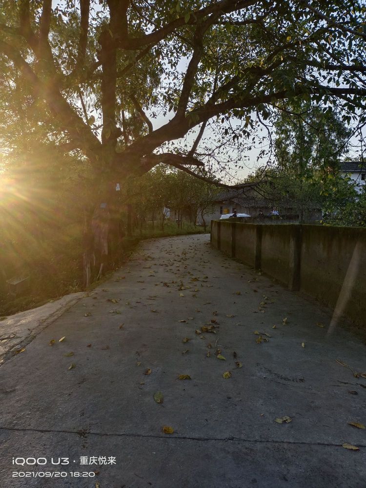 垫江县永平镇金光村聂家坪