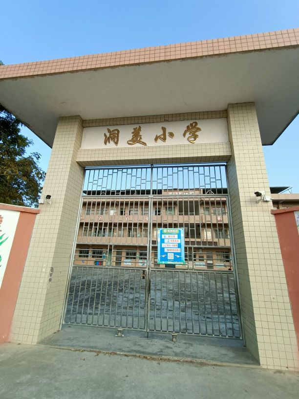 洞美小学