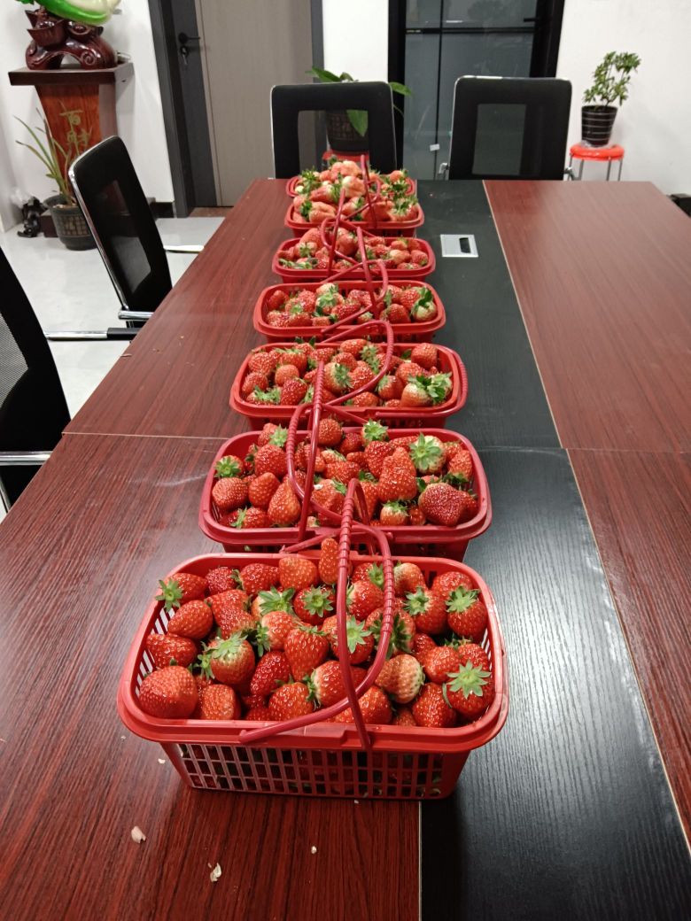 碱场温泉西瓜草莓采摘园